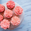 Calgary Homemade Cakeshop