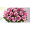 Calgary Ruby Flower Shop