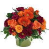 Airdrie Flowers Direct