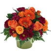 Airdrie Flowers Direct