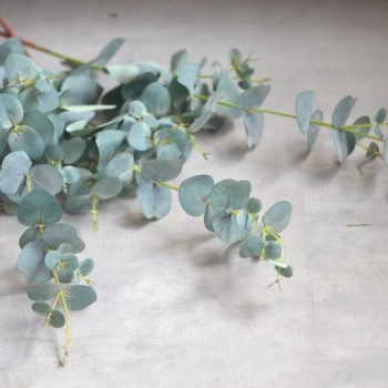 20 Roses - Purple Roses Bouquet