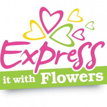 Delicious Tiramisu Cake – 1Lb