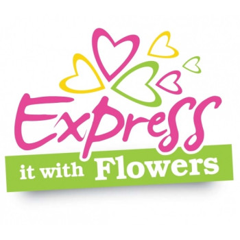 Delicious Tiramisu Cake – 1Lb