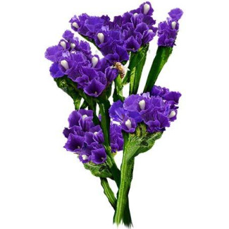 20 Roses - Purple Roses Bouquet