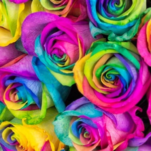 Twenty Rainbow Rose Vase Bouquet