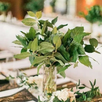 Birthday Package - Rose Bouquet + Ferrero Rocher Chocolate