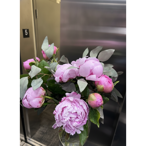 Elegant Pink Peony & Eucalyptus Arrangement in Vase