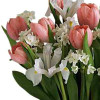Tulip Song
