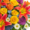 My Online Florist's Possibly Pink