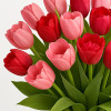 Passionate Tulips and Rose Bouquet