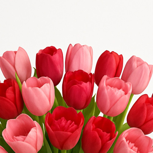 Passionate Tulips and Rose Bouquet