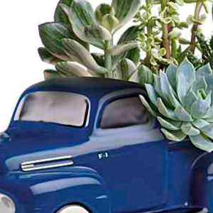 His Favorite Ford F1 Pickup by My Online Florist
