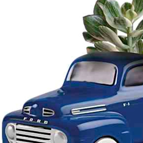 His Favorite Ford F1 Pickup by My Online Florist
