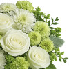 My Online Florist's Pretty Blossoms Bouquet
