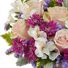 My Online Florist's Lovely Radiance Bouquet