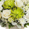 Teleflora's Peaceful Petals Bouquet
