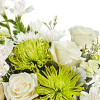 Teleflora's Peaceful Petals Bouquet