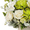 Teleflora's Peaceful Petals Bouquet