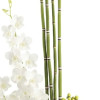 Zen Artistry