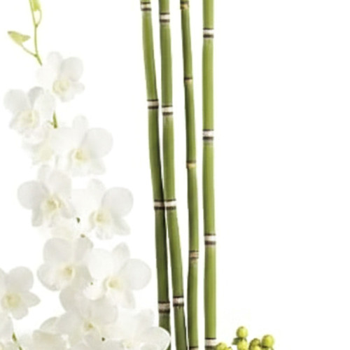 Zen Artistry