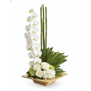 Zen Artistry
