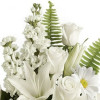 My Online Florist's Playful Daisy Bouquet