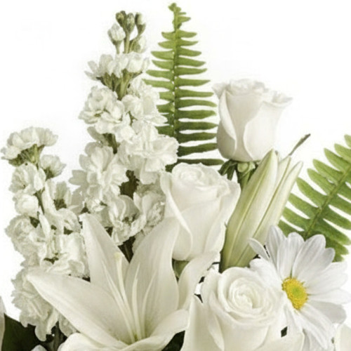 My Online Florist's Playful Daisy Bouquet