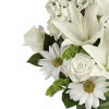 My Online Florist's Playful Daisy Bouquet