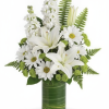 My Online Florist's Playful Daisy Bouquet