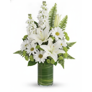 My Online Florist's Playful Daisy Bouquet