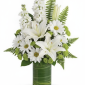 My Online Florist's Playful Daisy Bouquet