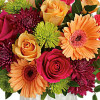 My Online Florist's Mid Mod Brights Bouquet