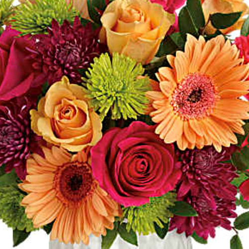 My Online Florist's Mid Mod Brights Bouquet