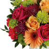 My Online Florist's Mid Mod Brights Bouquet