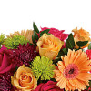 My Online Florist's Mid Mod Brights Bouquet
