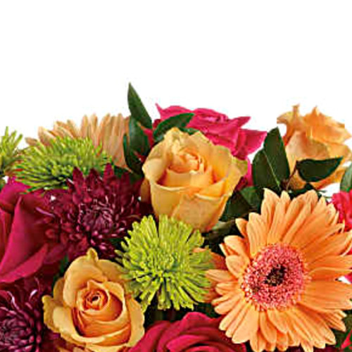 My Online Florist's Mid Mod Brights Bouquet