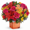 My Online Florist's Spread Sunshine Bouquet