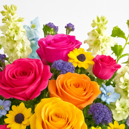 My Online Florist's Be Bright Bouquet