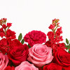 My Online Florist's Radiant Blossoms Bouquet