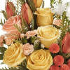 My Online Florist's Timeless Treasure Bouquet