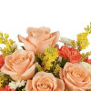 My Online Florist's Radiant Colors Bouquet
