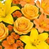 My Online Florist's Garden Glow Bouquet