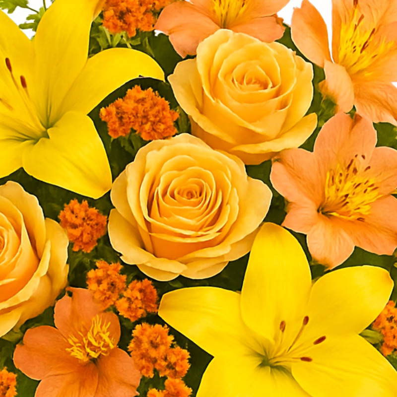 My Online Florist's Garden Glow Bouquet