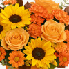 My Online Florist's Midnight Harvest Bouquet