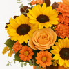 My Online Florist's Midnight Harvest Bouquet
