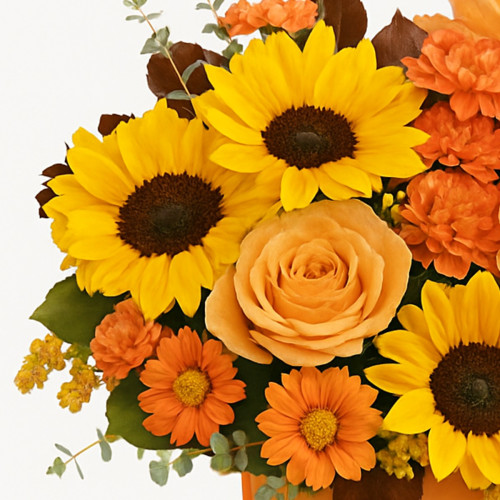 My Online Florist's Midnight Harvest Bouquet