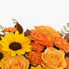 My Online Florist's Midnight Harvest Bouquet