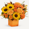 My Online Florist's Midnight Harvest Bouquet