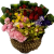 Canada Flower Gifts Timeless Devotion Mixed Flower Basket