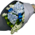 Calgary Ruby Whispering Blue Bouquet